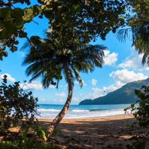 Beach in Dominican Republic